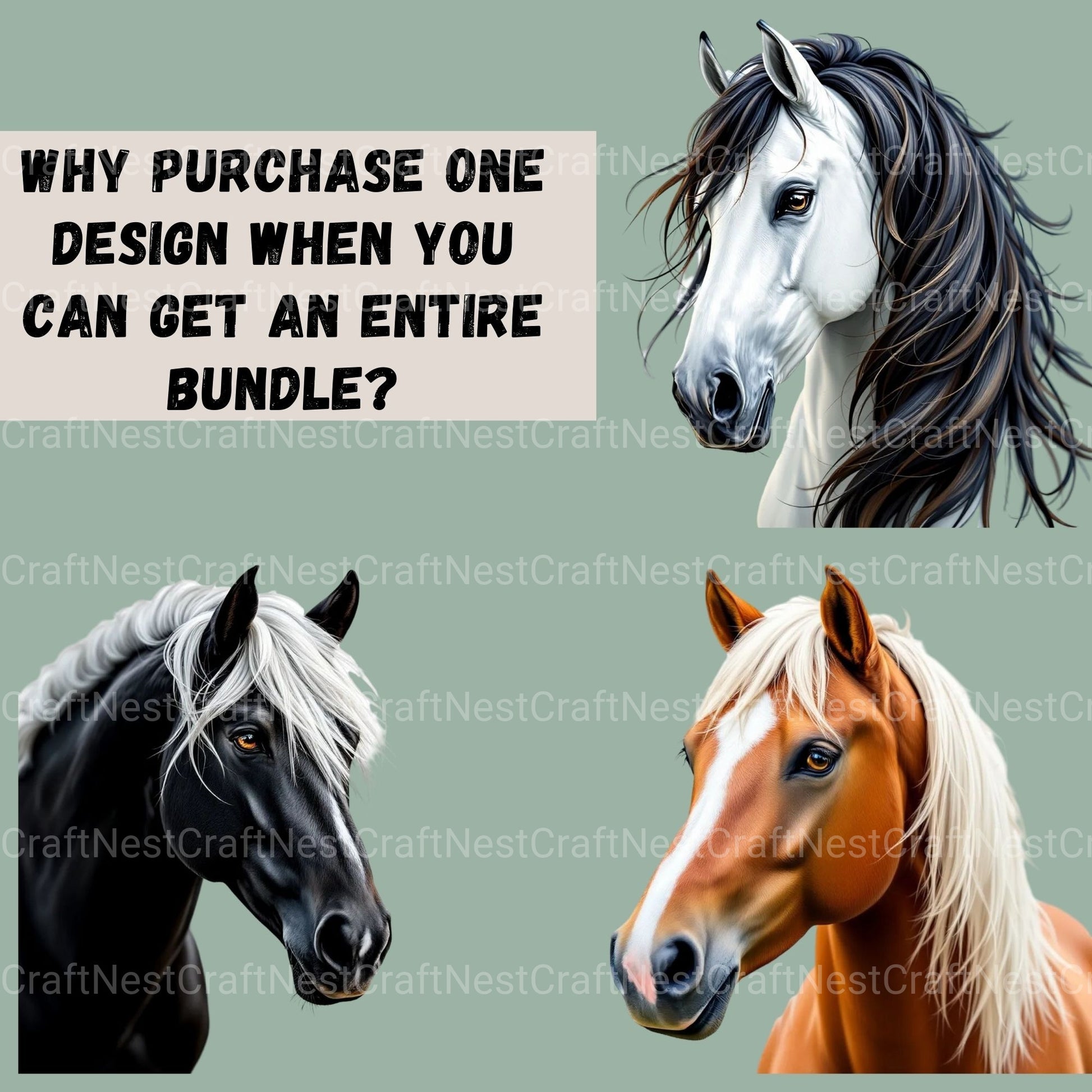 Horse Portraits Clipart Bundle - CraftNest - Digital Crafting and Art