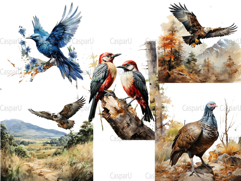 Bird Watching Clipart - CraftNest