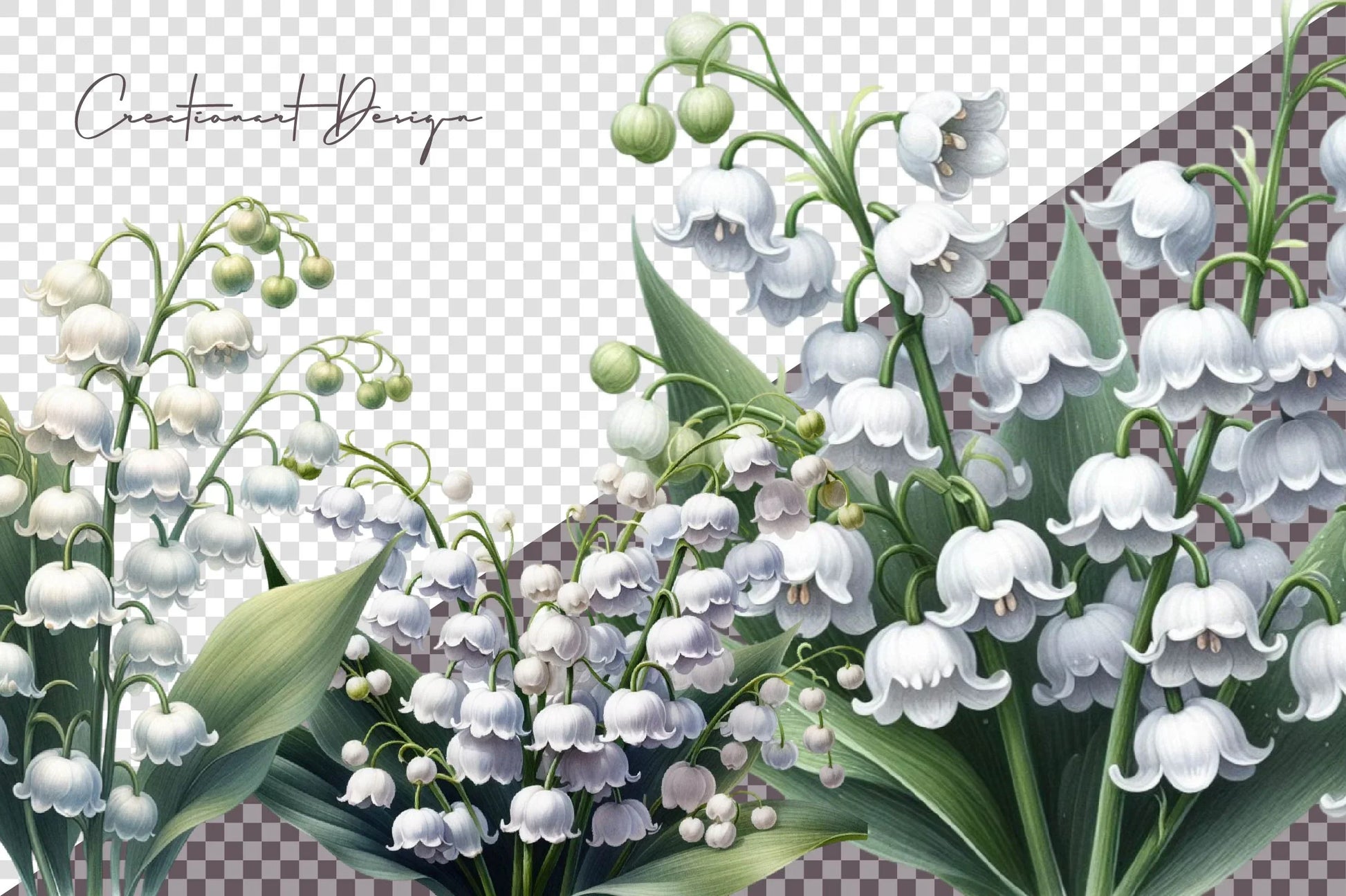 Lily Of The Valley Flowers Clipart Bundle - CraftNest - Digital Crafting and Art