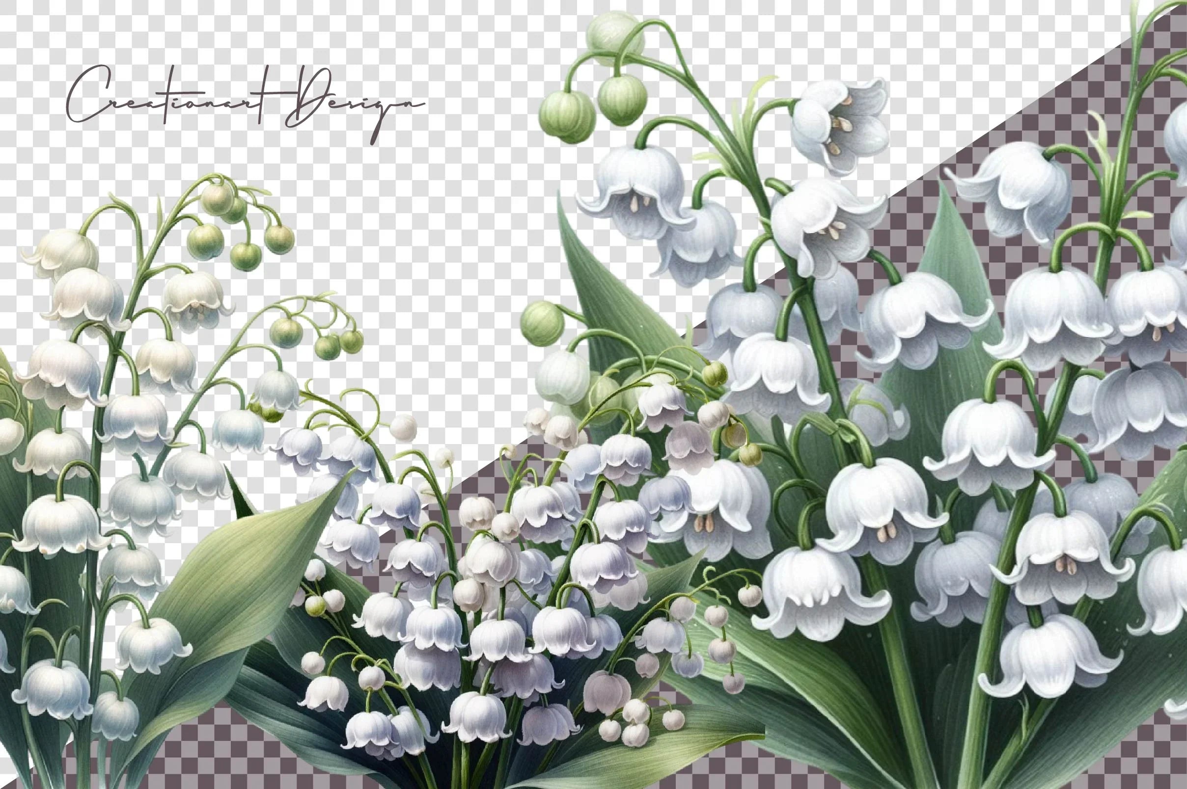 Lily Of The Valley Flowers Clipart Bundle - CraftNest - Digital Crafting and Art