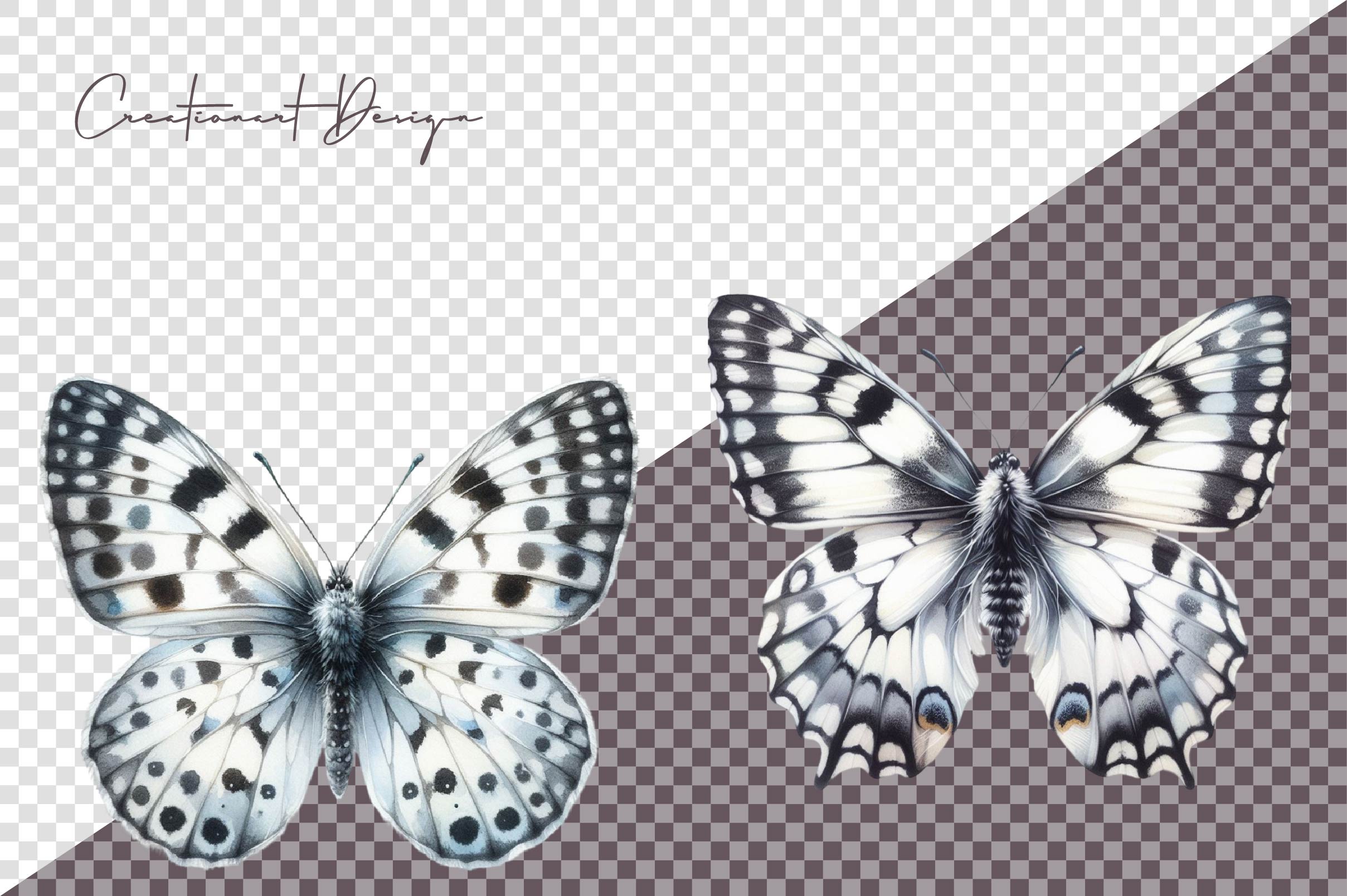 White Butterfly Floral Clipart Bundle - CraftNest - Digital Crafting and Art