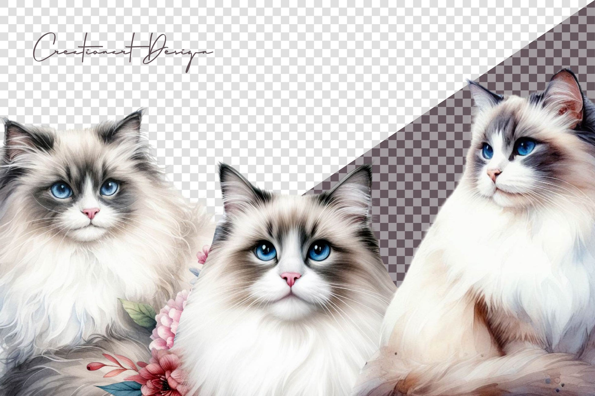 Ragdoll Cats Clipart Bundle - CraftNest - Digital Crafting and Art