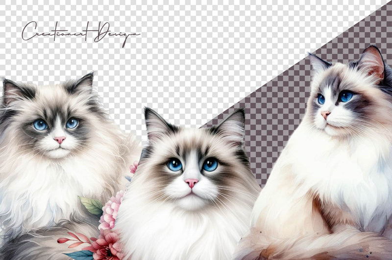 Ragdoll Cats Clipart Bundle - CraftNest - Digital Crafting and Art