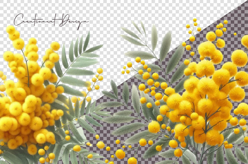Mimosa Flower Clipart Bundle - CraftNest - Digital Crafting and Art