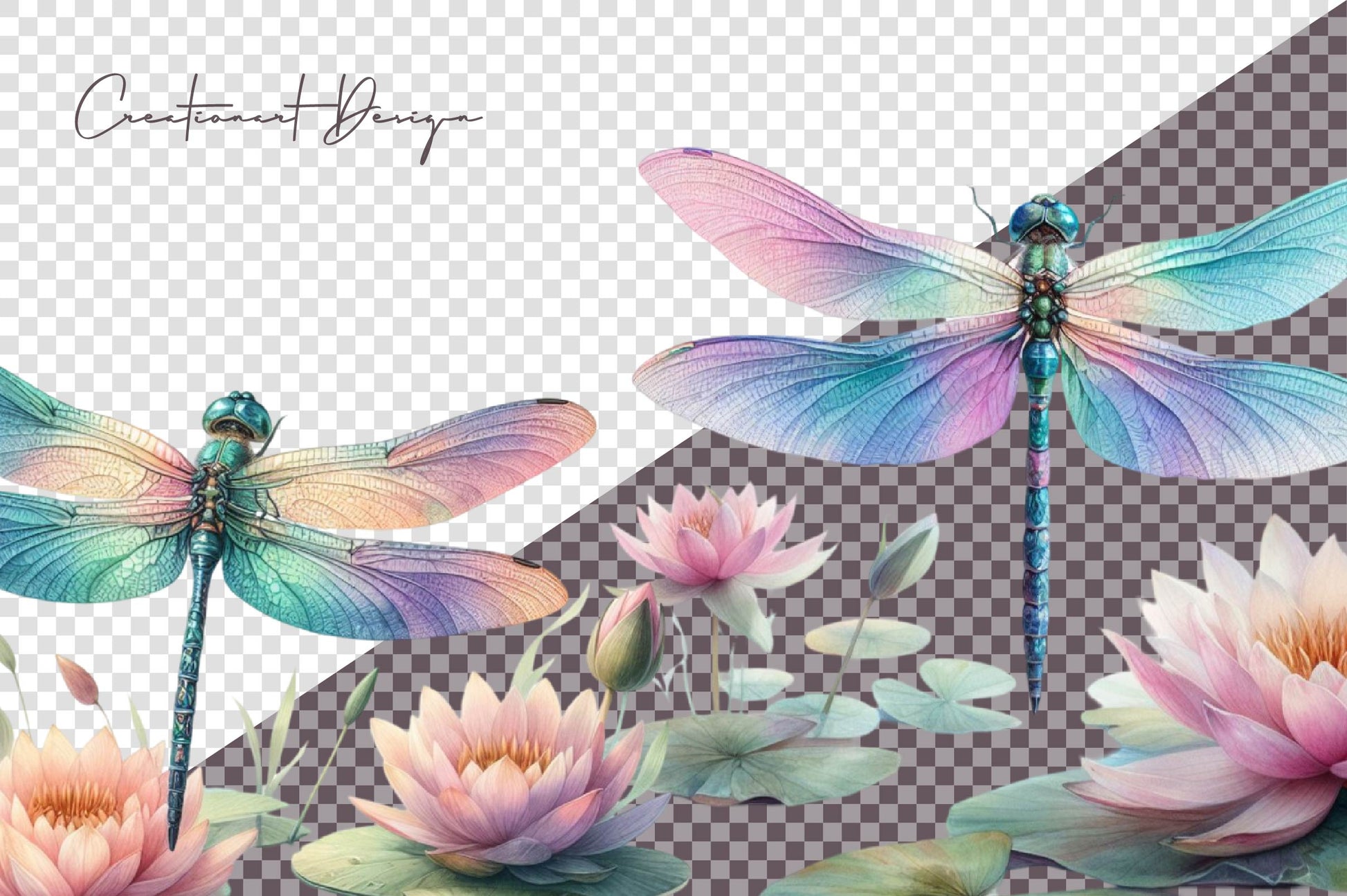 Dragonflies Clipart Bundle - CraftNest - Digital Crafting and Art