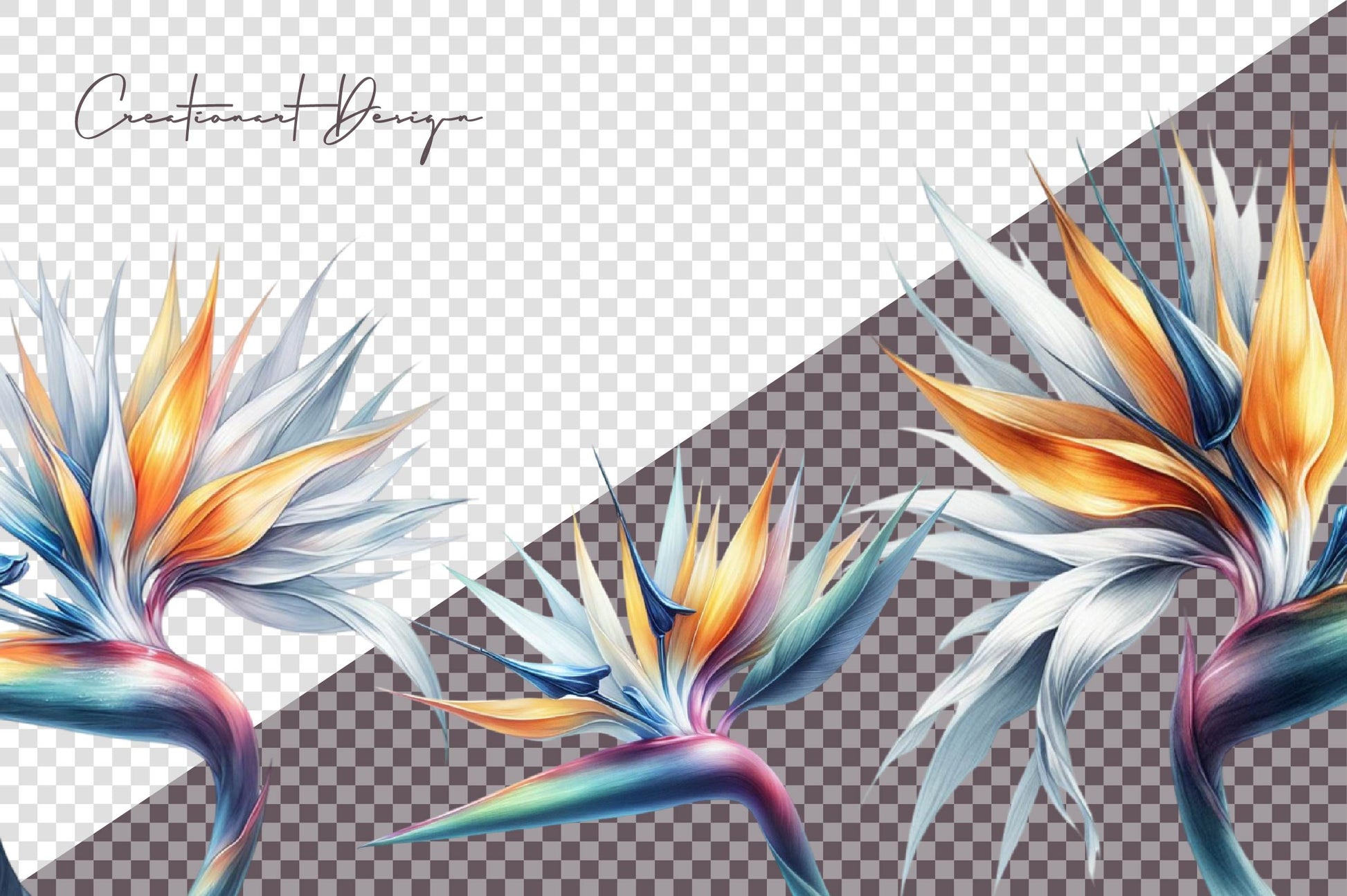 Paradise Flower Clipart Bundle - CraftNest - Digital Crafting and Art