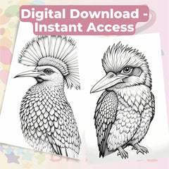 Bird Portraits Coloring Book Bundle - CraftNest - Digital Crafting and Art