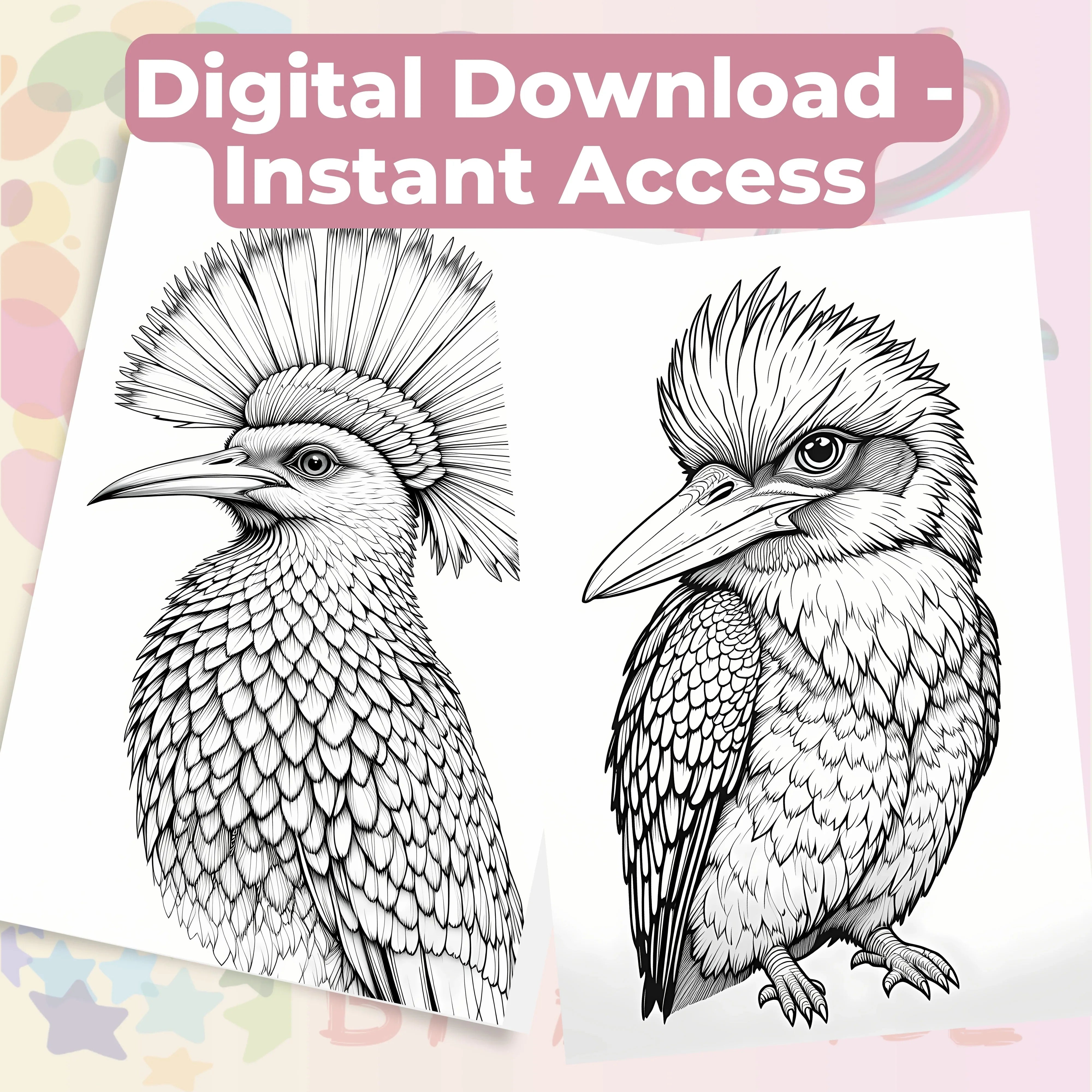 Bird Portraits Coloring Book Bundle - CraftNest - Digital Crafting and Art