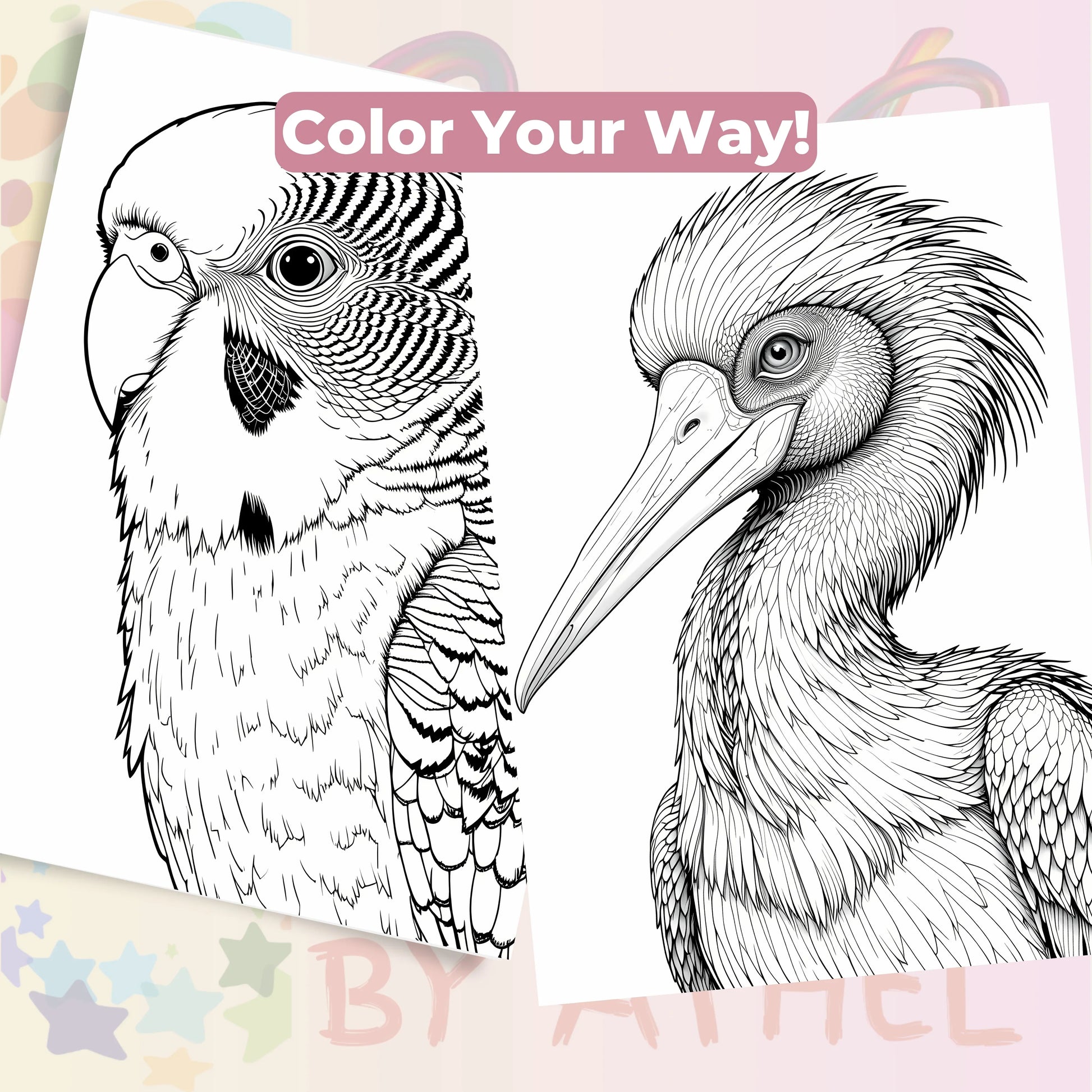 Bird Portraits Coloring Book Bundle - CraftNest - Digital Crafting and Art