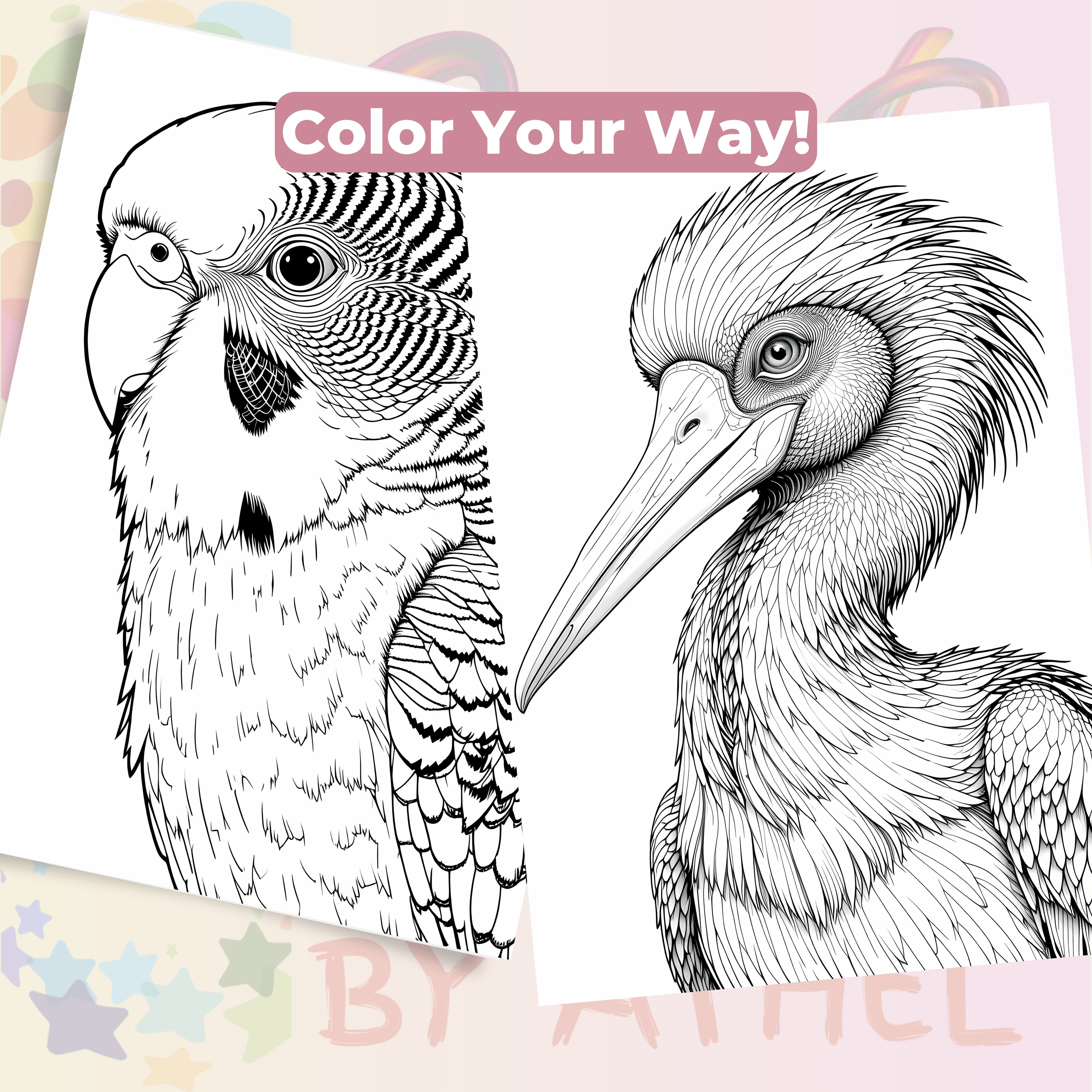 Bird Portraits Coloring Book Bundle