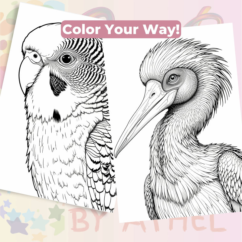 Bird Portraits Coloring Book Bundle - CraftNest - Digital Crafting and Art