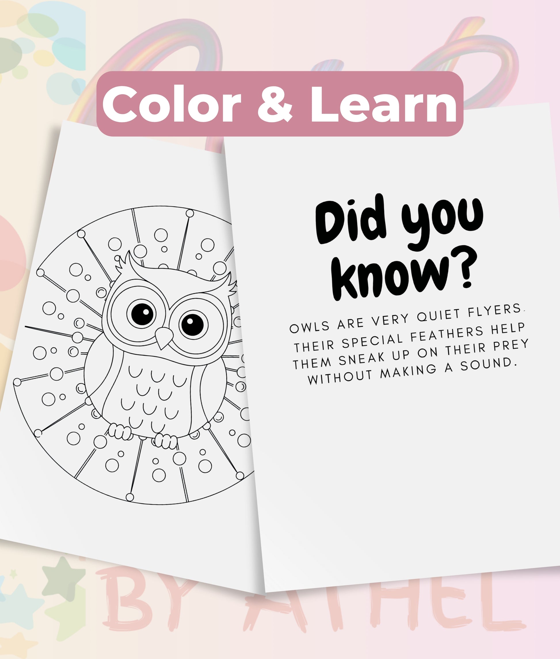 Kids Owl Mandala Coloring Book Bundle - CraftNest - Digital Crafting and Art