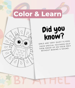 Kids Owl Mandala Coloring Book Bundle - CraftNest - Digital Crafting and Art