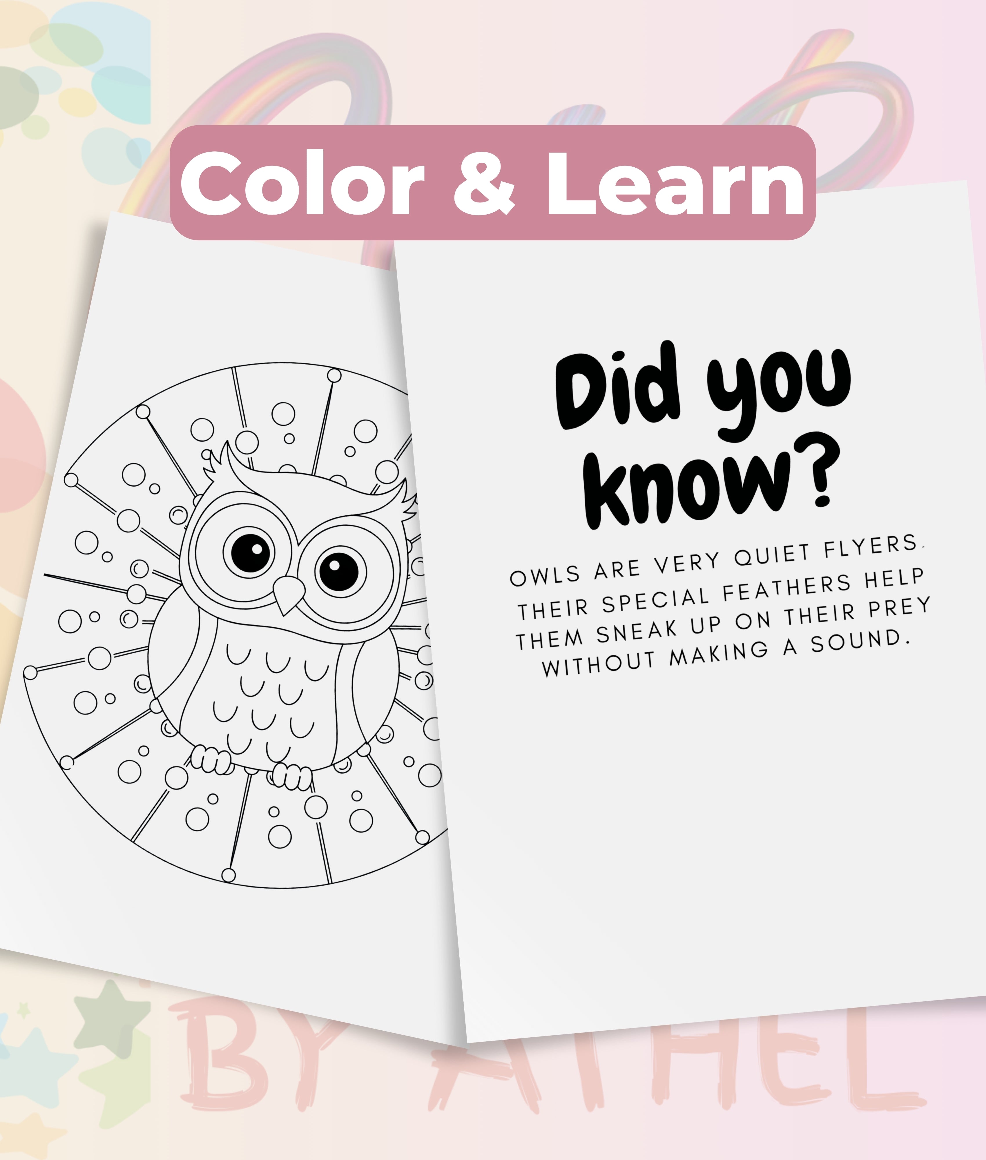 Kids Owl Mandala Coloring Book Bundle - CraftNest - Digital Crafting and Art