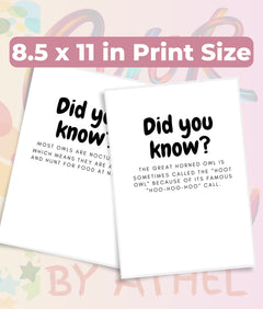 Kids Owl Mandala Coloring Book Bundle - CraftNest - Digital Crafting and Art