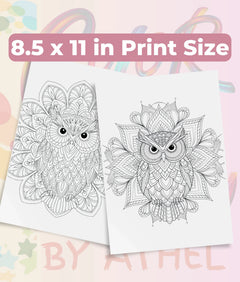 Owl Mandala Coloring Book Bundle - CraftNest - Digital Crafting and Art