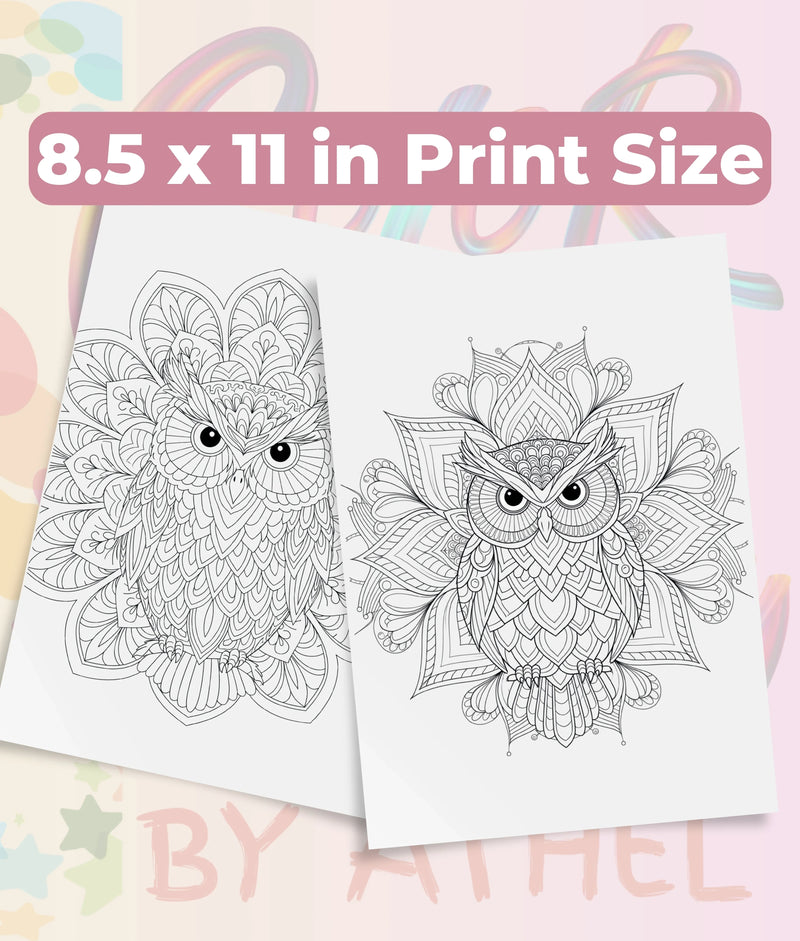 Owl Mandala Coloring Book Bundle - CraftNest - Digital Crafting and Art