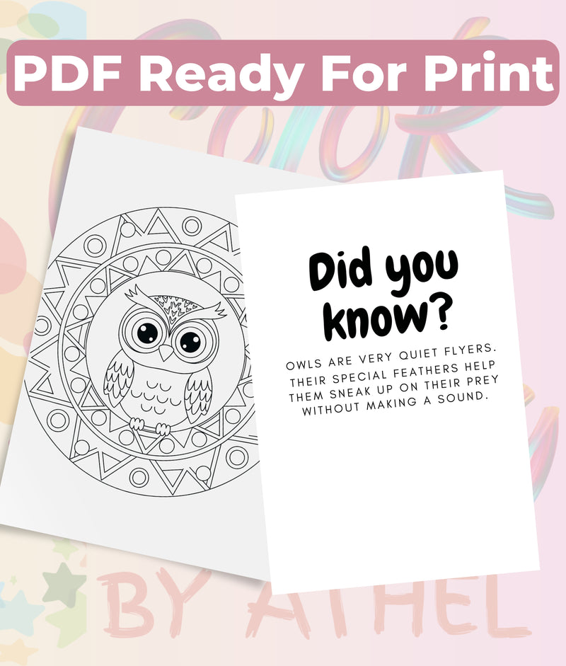 Kids Owl Mandala Coloring Book Bundle - CraftNest - Digital Crafting and Art