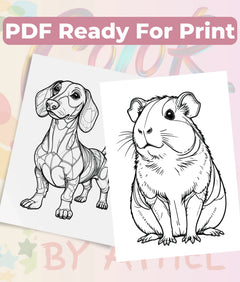Patchwork Domestic Animals Coloring Book Bundle - CraftNest - Digital Crafting and Art