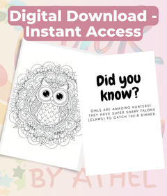 Kids Owl Mandala Coloring Book Bundle - CraftNest - Digital Crafting and Art