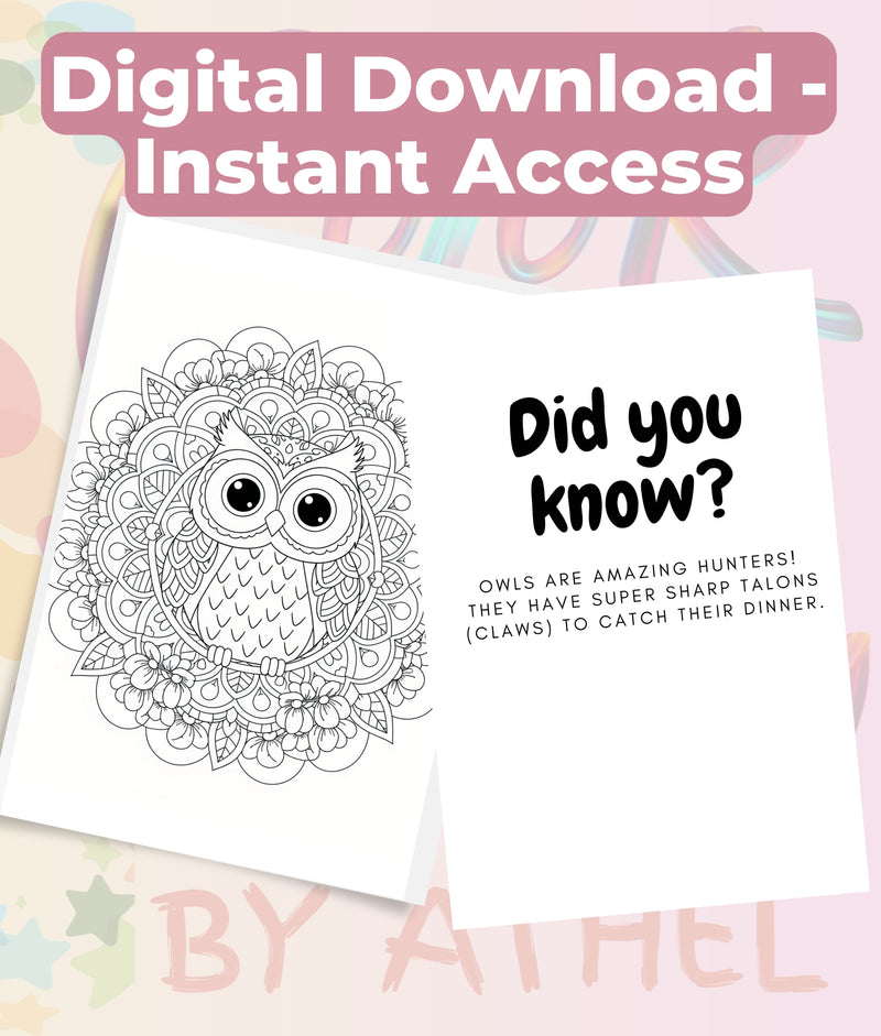 Kids Owl Mandala Coloring Book Bundle - CraftNest - Digital Crafting and Art