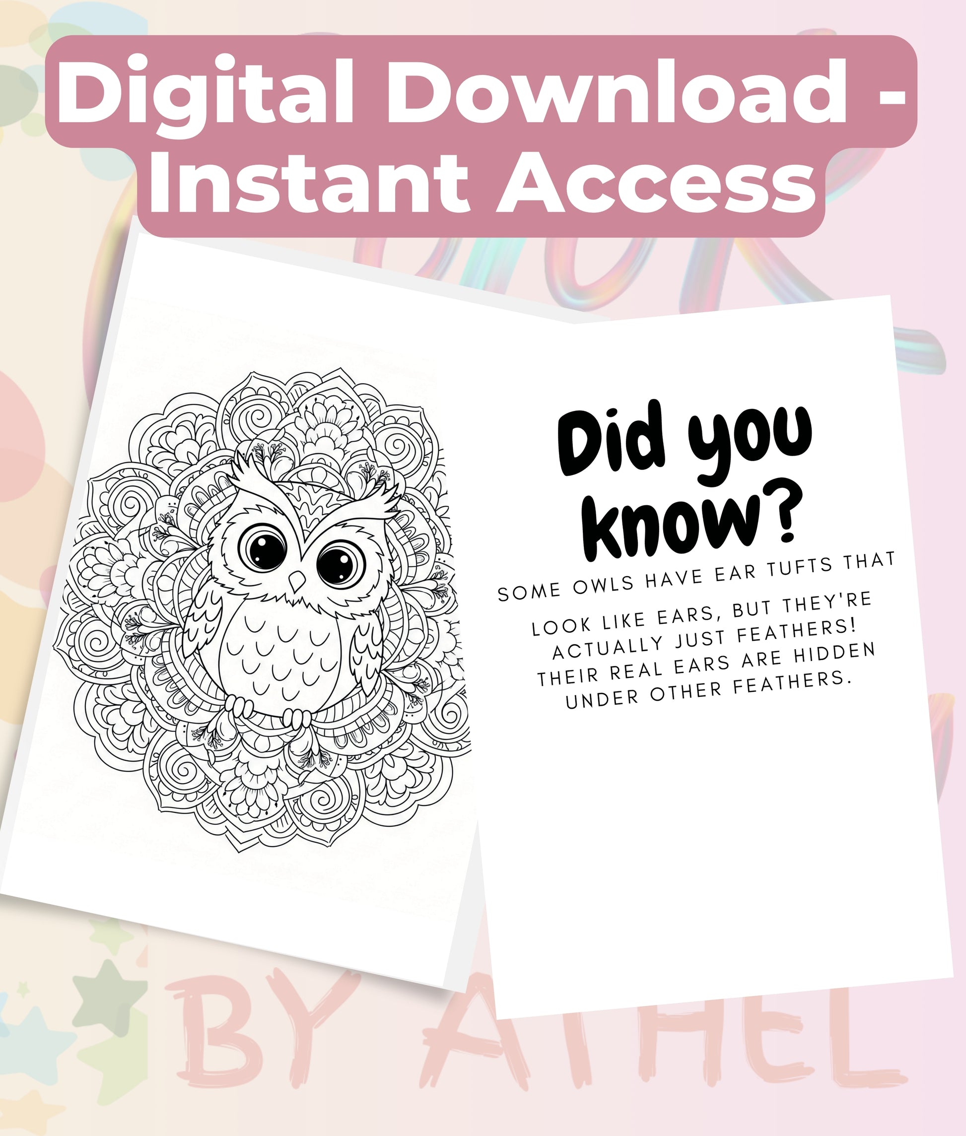 Kids Owl Mandala Coloring Book Bundle - CraftNest - Digital Crafting and Art