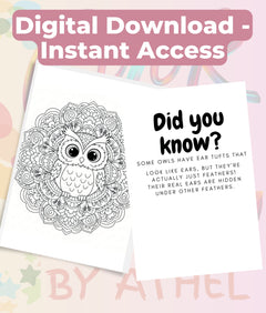 Kids Owl Mandala Coloring Book Bundle - CraftNest - Digital Crafting and Art