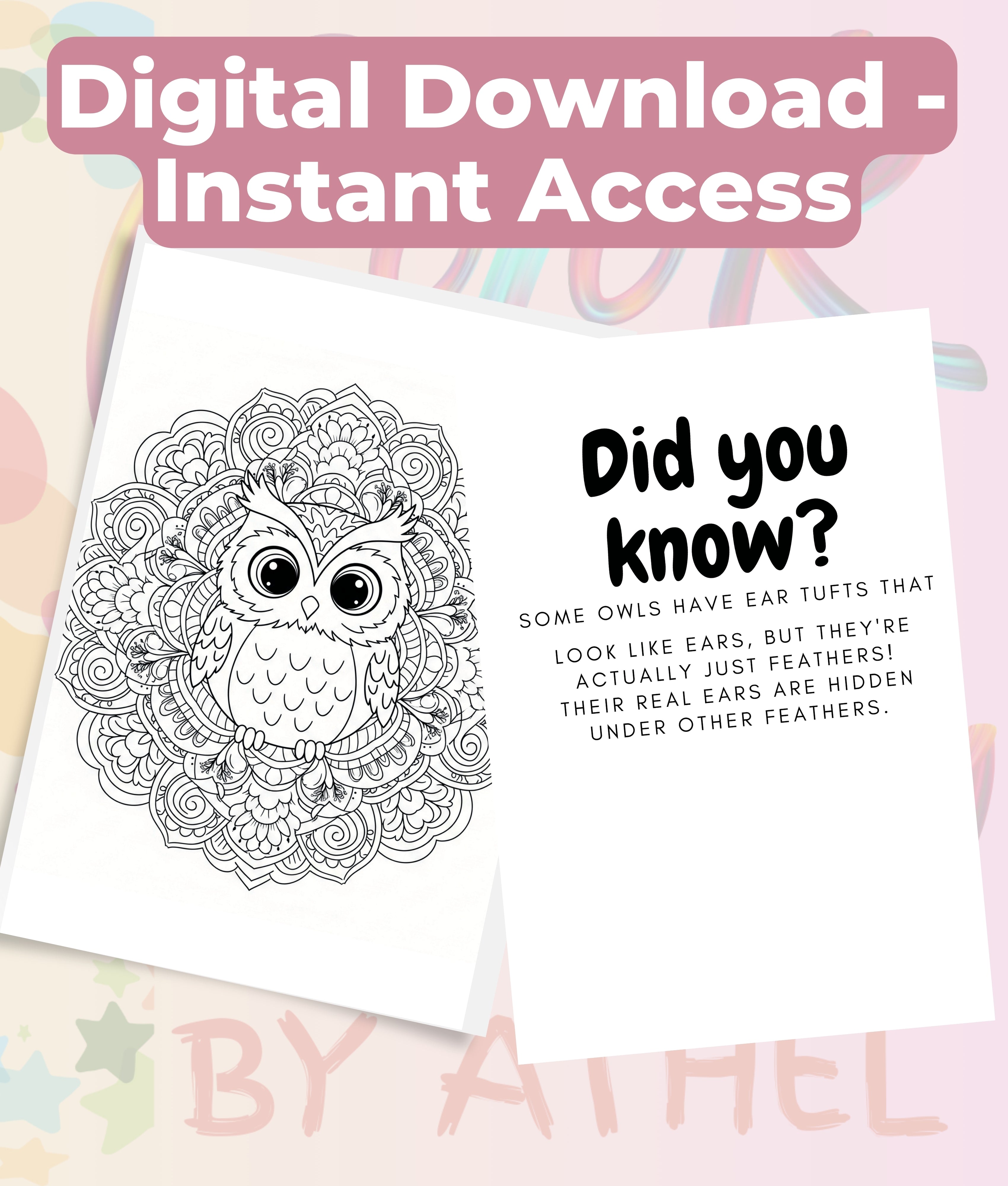 Kids Owl Mandala Coloring Book Bundle - CraftNest - Digital Crafting and Art