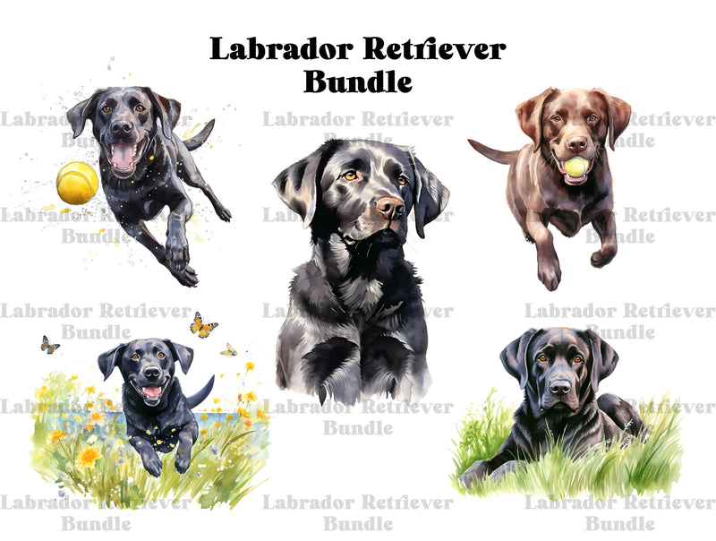 Labrador Retriever Clipart - CraftNest