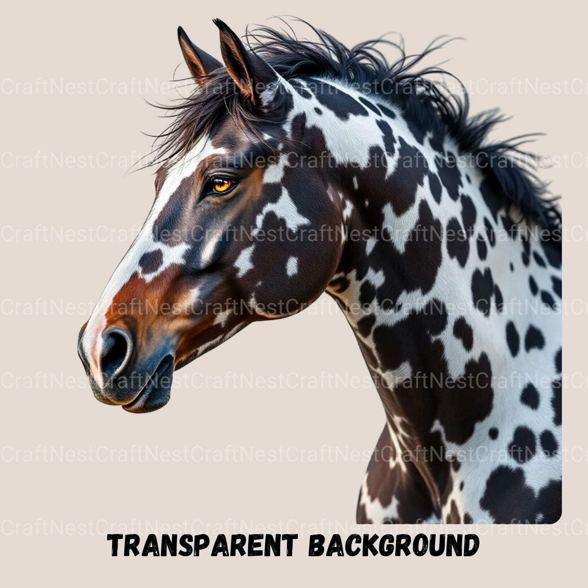 Horse Portraits Clipart Bundle - CraftNest - Digital Crafting and Art