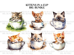 Kitten In A Cup Clipart - CraftNest
