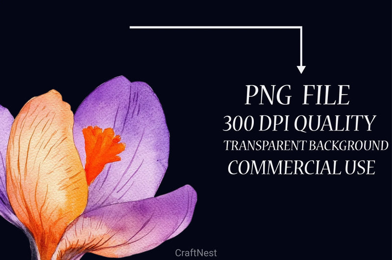 Crocuses Flowers Clipart Bundle - CraftNest - Digital Crafting and Art