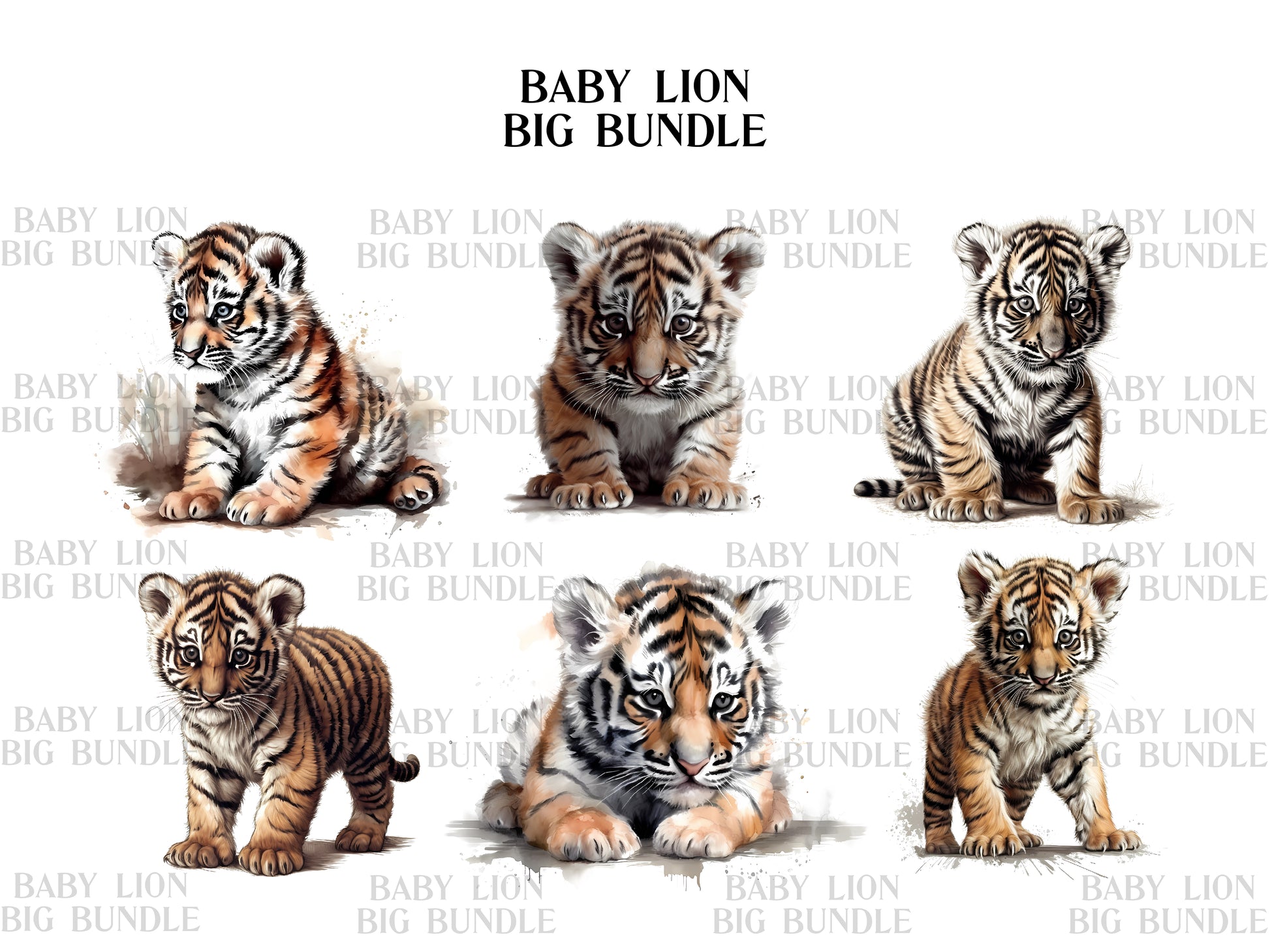 Baby Lion Clipart - CraftNest