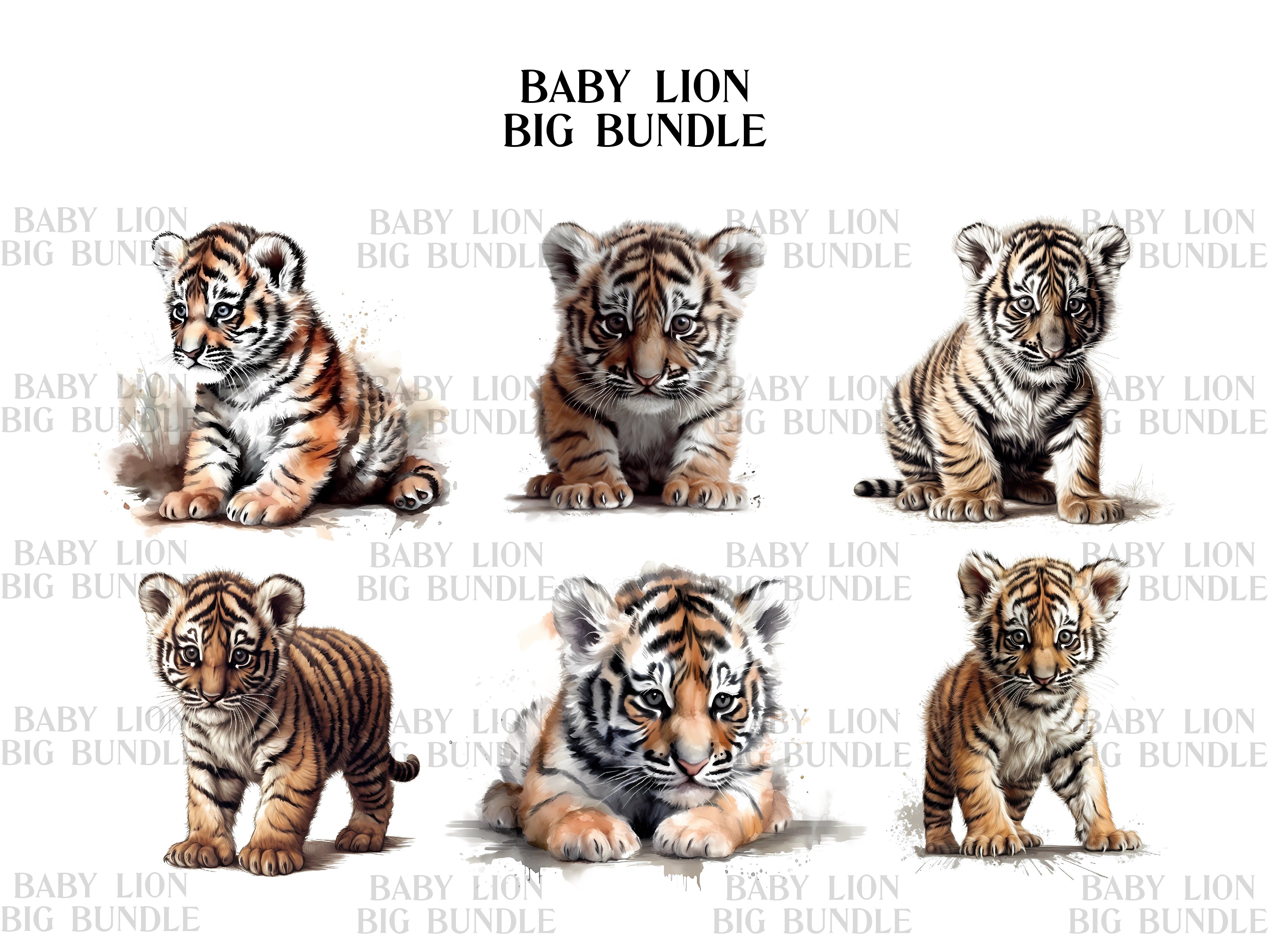 Baby Lion Clipart - CraftNest