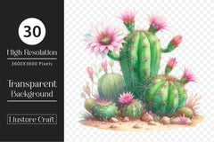 Cactus Clipart Bundle 2 - CraftNest - Digital Crafting and Art