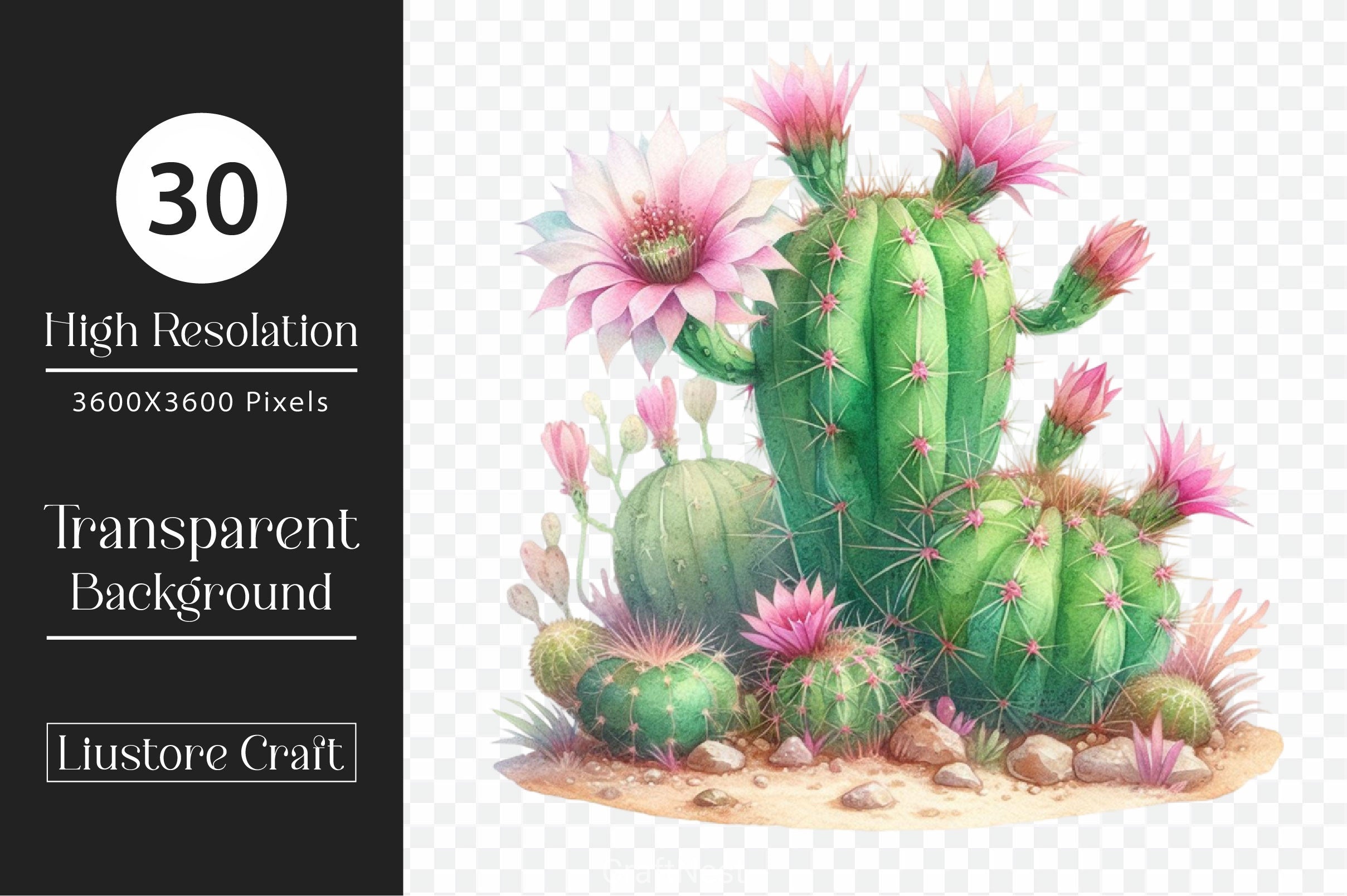 Cactus Clipart Bundle 2 - CraftNest - Digital Crafting and Art