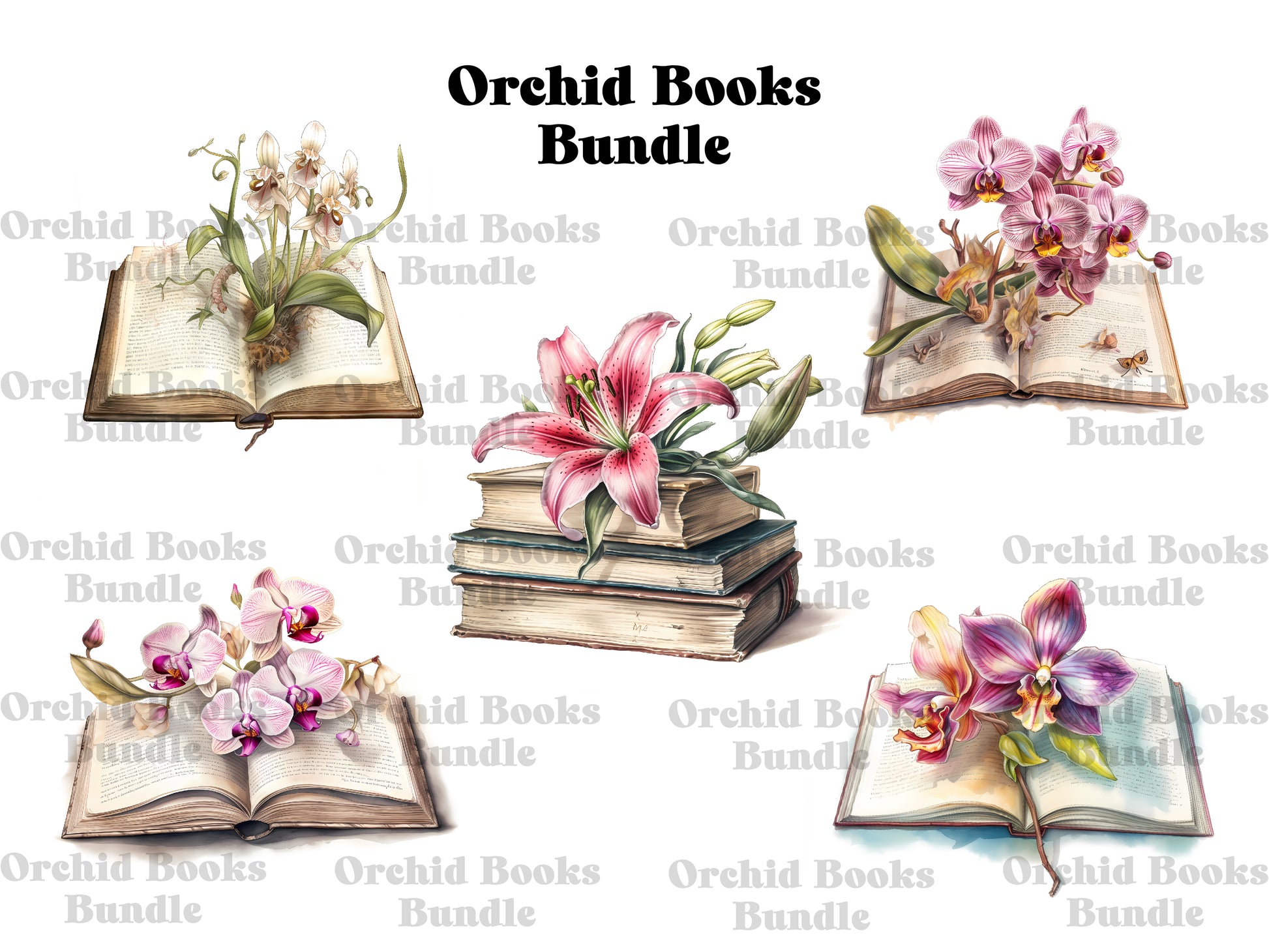 Orchid Books Clipart - CraftNest