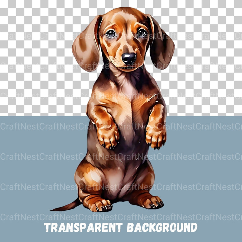 Dachshund Puppies Clipart Bundle 1 - CraftNest - Digital Crafting and Art