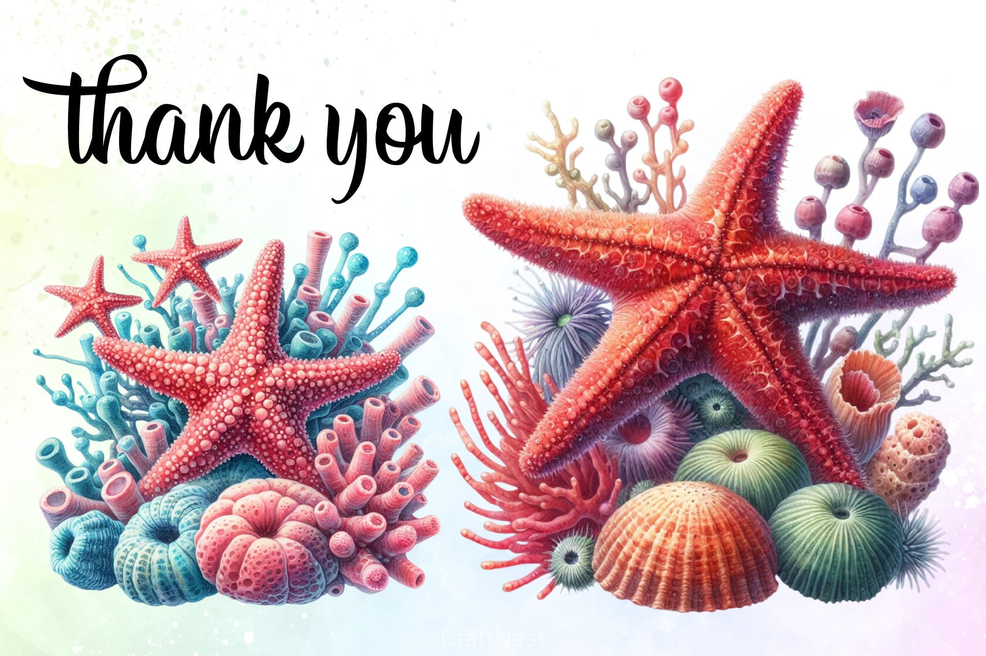 Shells & Corals Clipart Bundle - CraftNest - Digital Crafting and Art