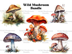 Wild Mushrooms Clipart - CraftNest