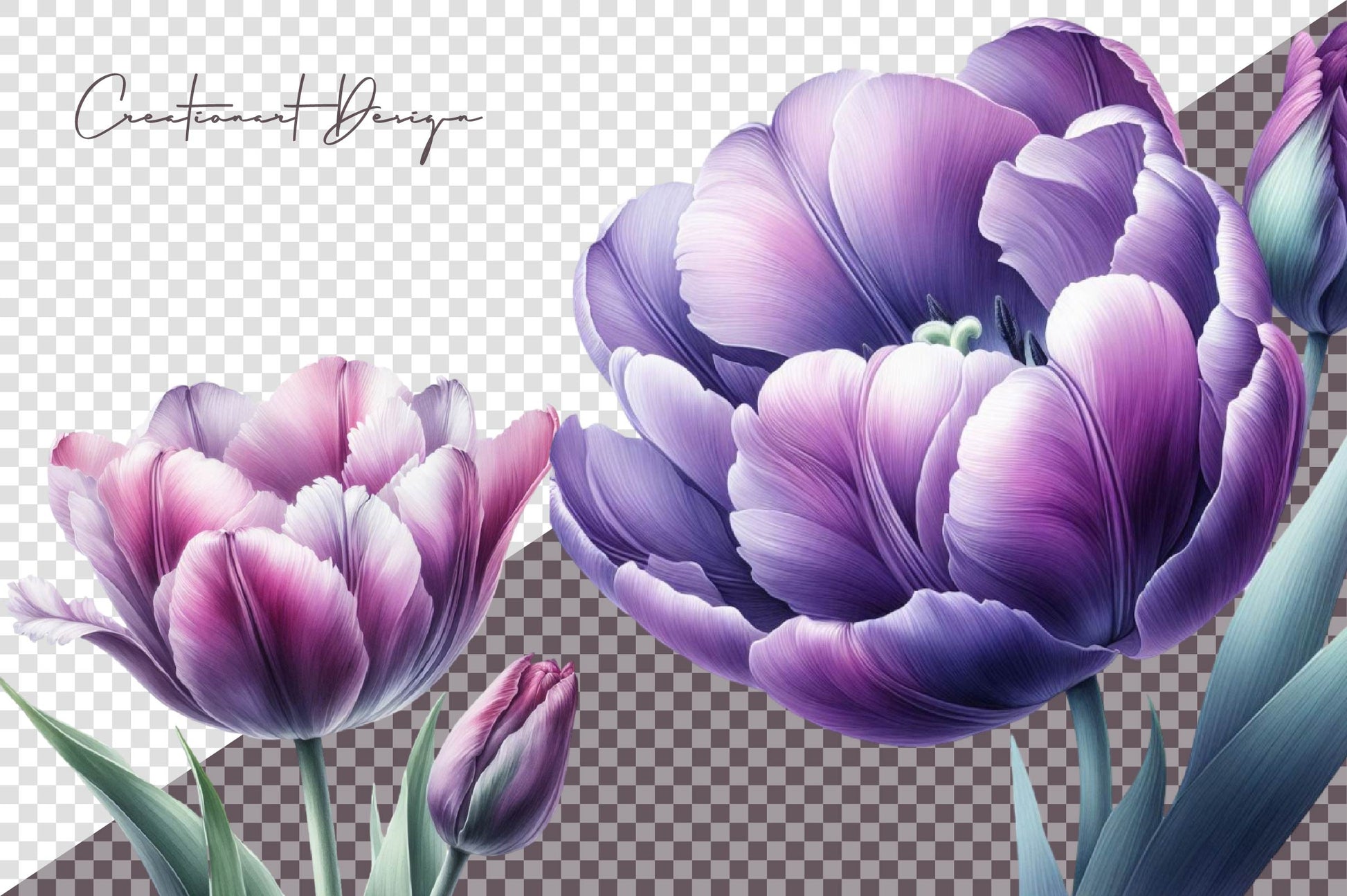 Tulips Clipart Bundle - CraftNest - Digital Crafting and Art
