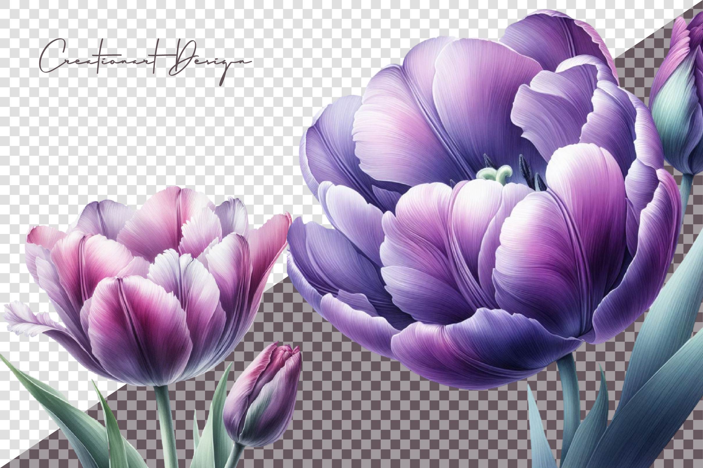 Tulips Clipart Bundle - CraftNest - Digital Crafting and Art