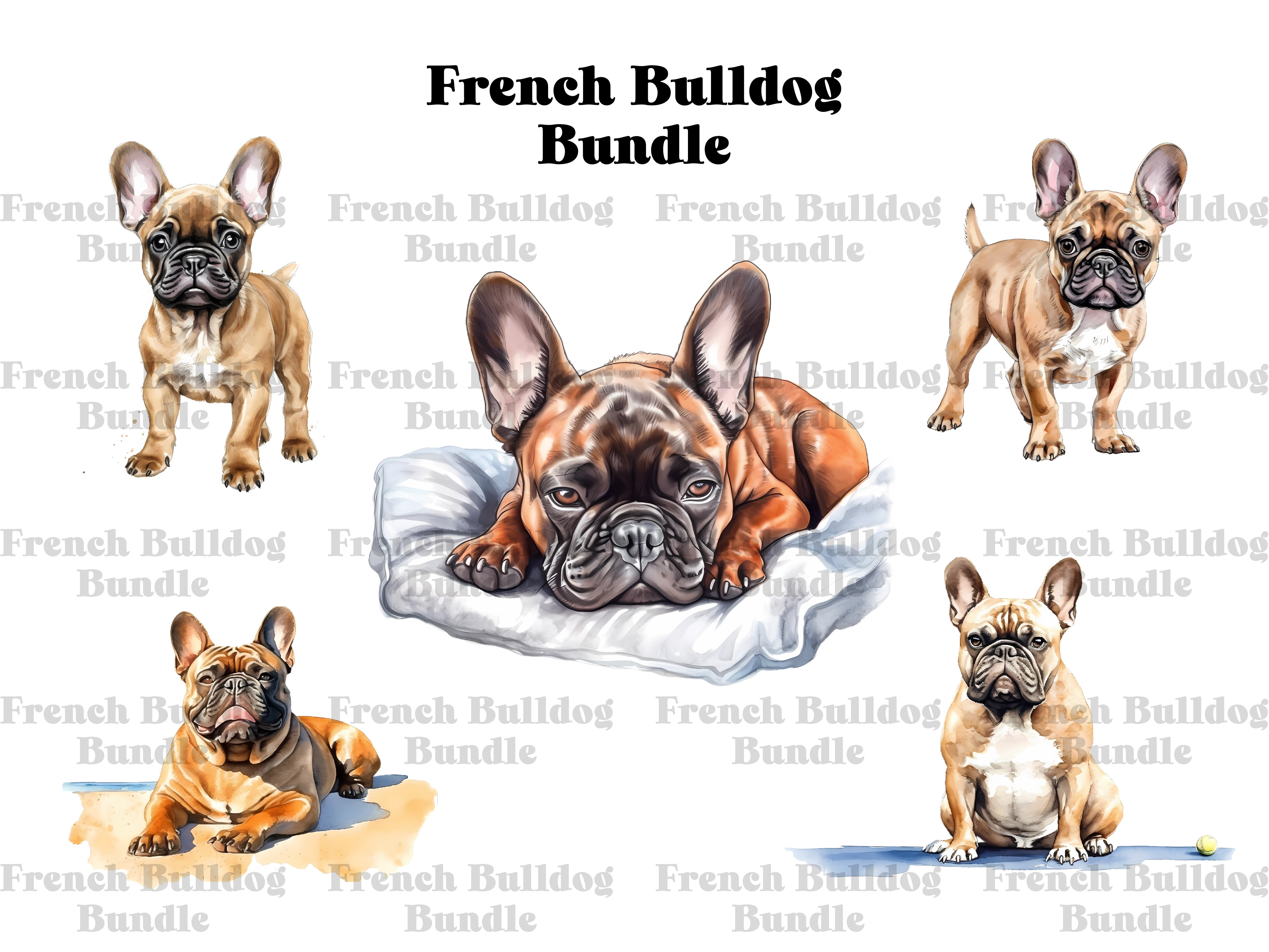 French Bulldog Clipart - CraftNest