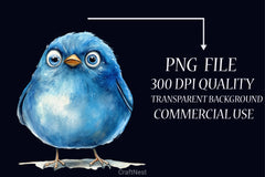 Cute Quirky Birds Clipart Bundle - CraftNest - Digital Crafting and Art