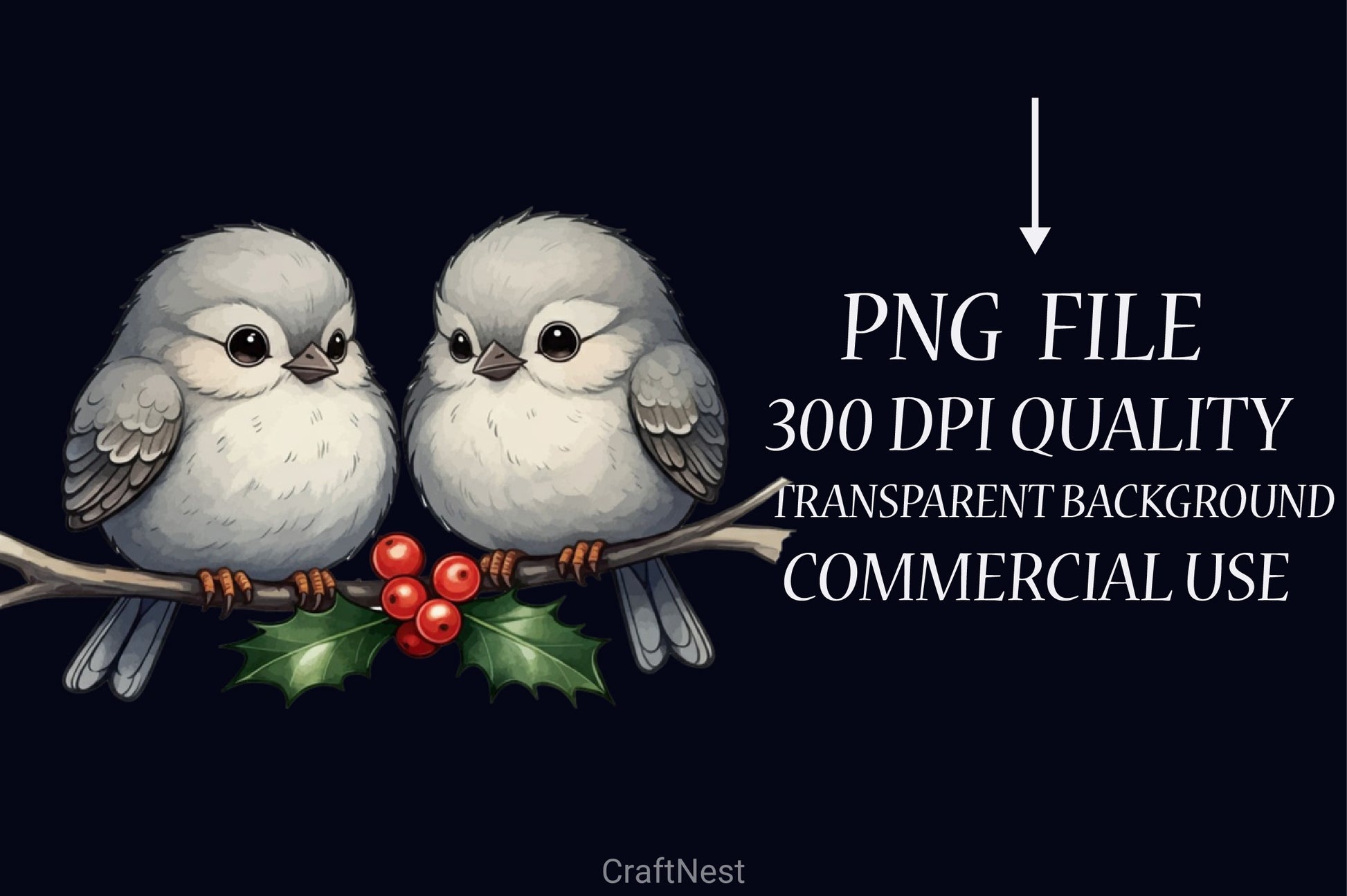 Cute Christmas Bird Clipart Bundle - CraftNest - Digital Crafting and Art