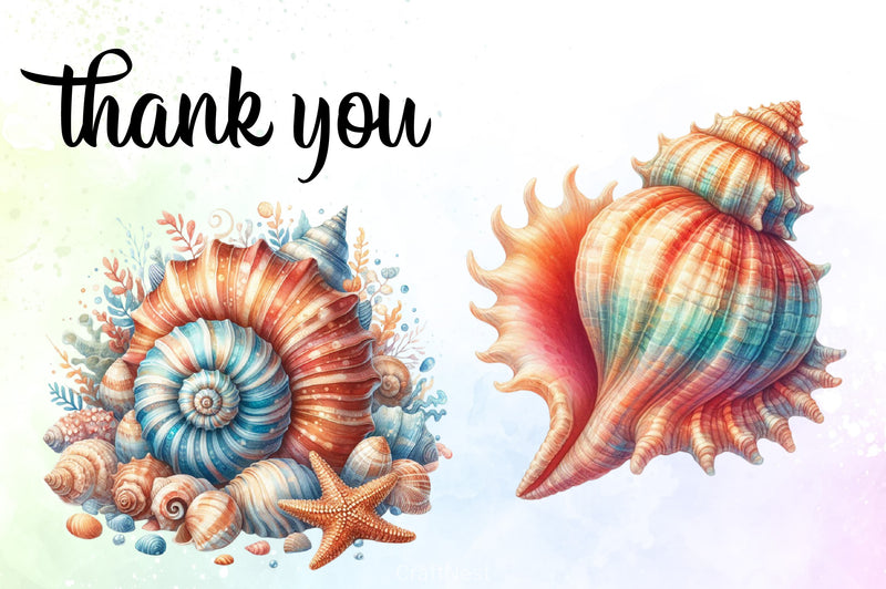 Seashell Clipart Bundle - CraftNest - Digital Crafting and Art