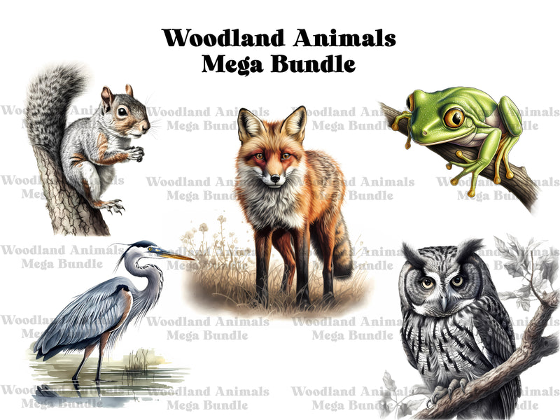 Woodland Animals Clipart - CraftNest