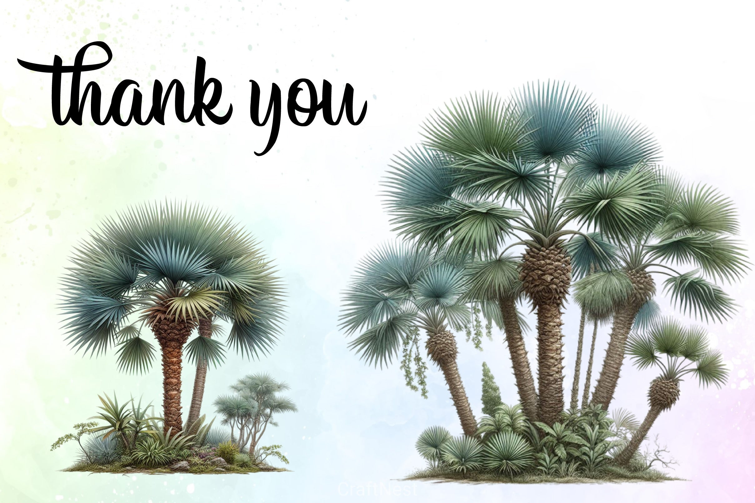 Palm Tree Clipart Bundle - CraftNest - Digital Crafting and Art