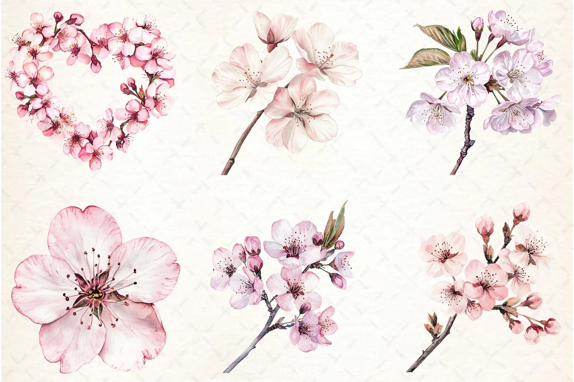 Cherry Blossom Clipart Bundle - CraftNest - Digital Crafting and Art