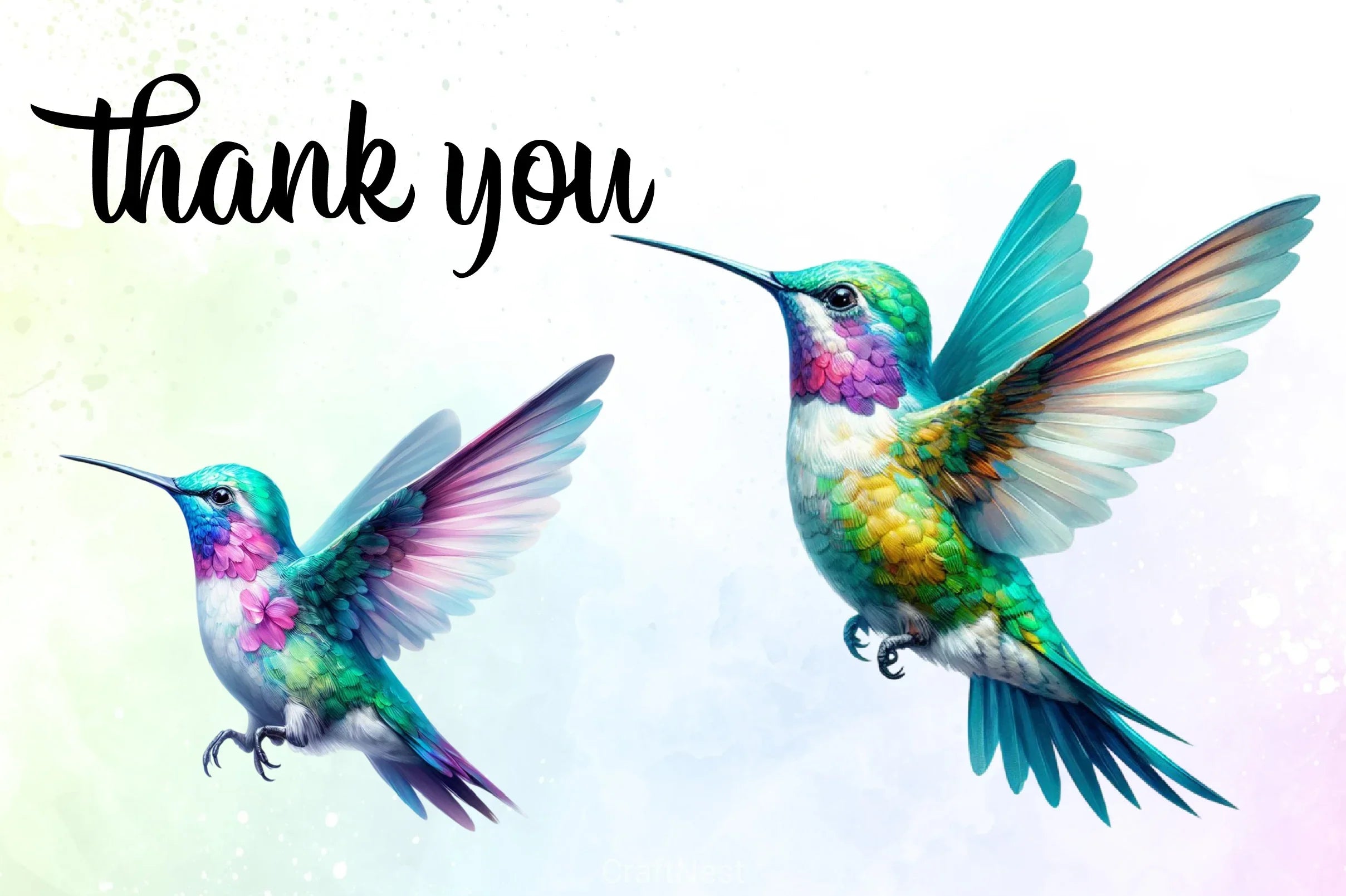 Hummingbird Clipart Bundle - CraftNest - Digital Crafting and Art